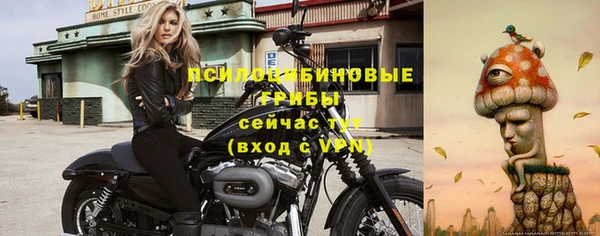 ECSTASY Нязепетровск
