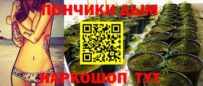 ГАЛЛЮЦИНОГЕННЫЕ ГРИБЫ Гатчина