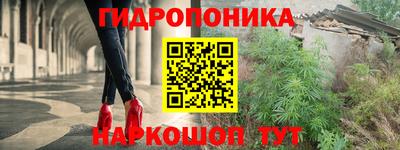 ГАЛЛЮЦИНОГЕННЫЕ ГРИБЫ Гатчина