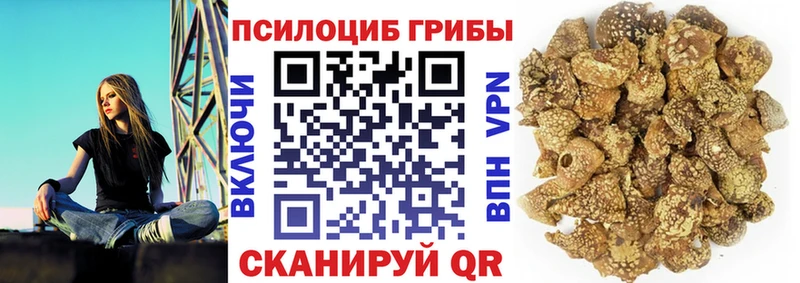 Галлюциногенные грибы GOLDEN TEACHER  Кушва 