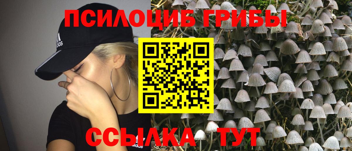 Кушва  Псилоцибиновые грибы прущие грибы  Псилоцибиновые грибы Magic Shrooms  Вход с VPN 
