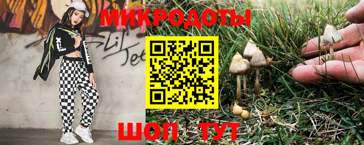 Псилоцибиновые грибы прущие грибы Кушва