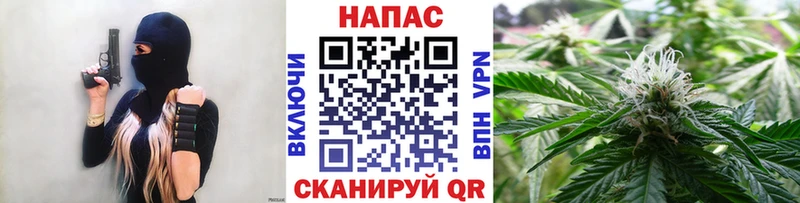 Конопля индика Кушва